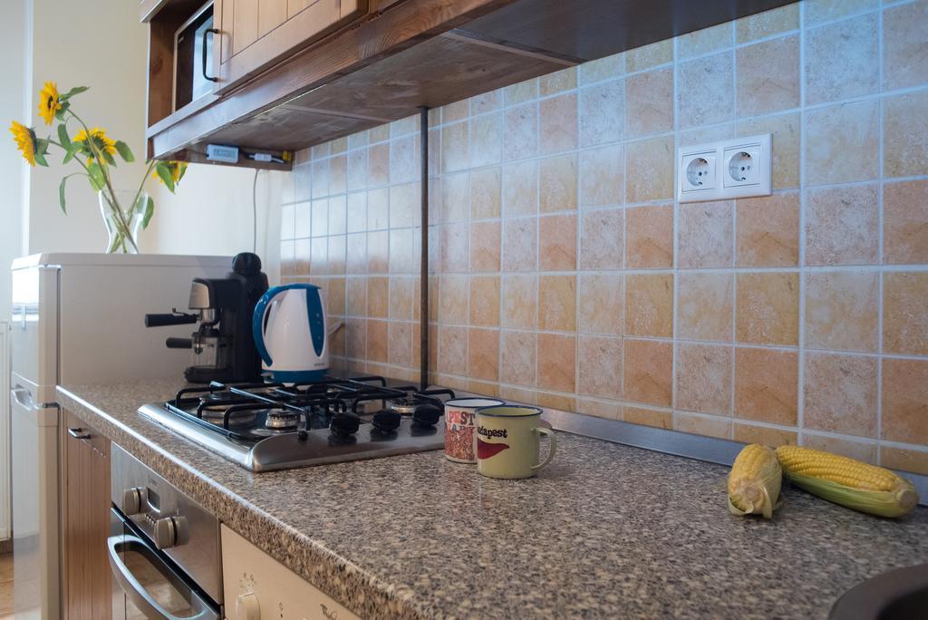 Friendly Home In The Center ブダペスト エクステリア 写真